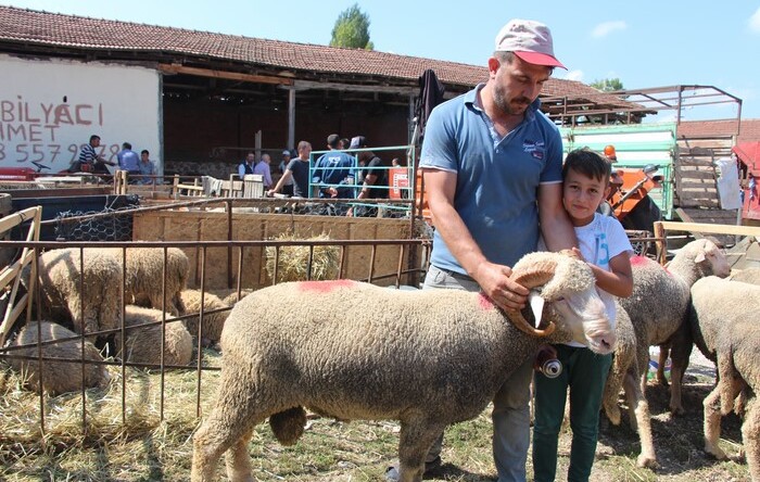 Pazaryeri’nde Kurbanlıklar Elde Kaldı