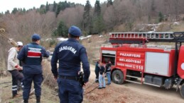 Yasak Dinlemeyen Piknikçiler Yangın Çıkardı