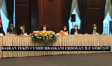 BELEDİYE BAŞKANI TEKİN, CUMHURBAŞKANI İLE GÖRÜŞTÜ