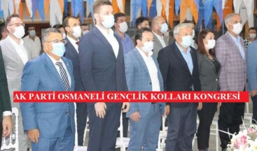 AK Parti Osmaneli İlçe Gençlik Kolları 6. Kongresi yapıldı