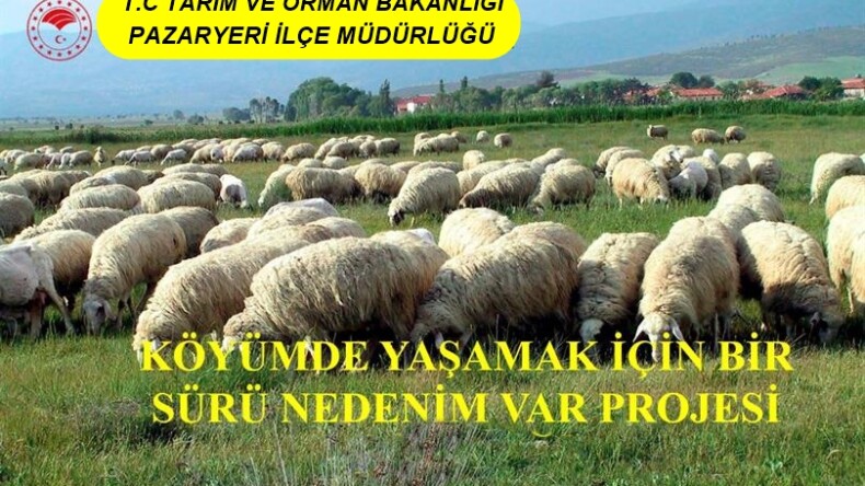 KÖYÜMDE YAŞAMAK İÇİN BİR SÜRÜ NEDENİM VAR