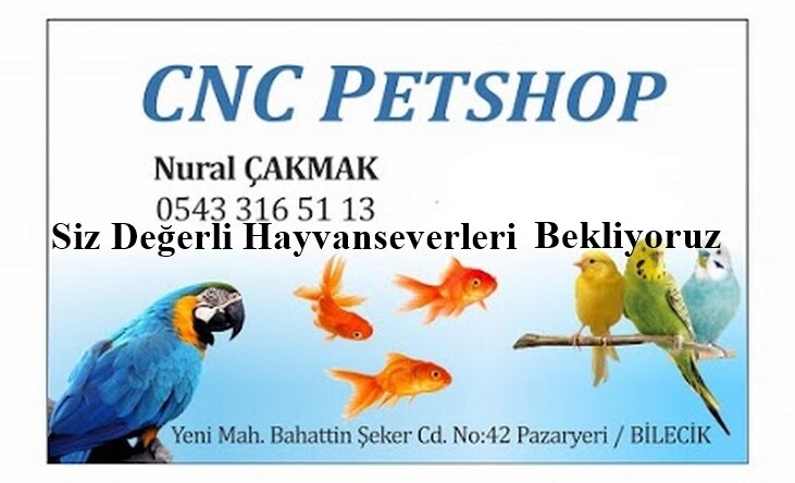 CNC PETSHOP HAYVAN SEVERLERİN HİZMETİNDE