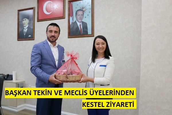 BAŞKAN TEKİN VE MECLİS ÜYELERİNİN KESTEL ZİYARETİ