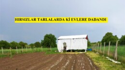 HIRSIZLAR TARLALARDA Kİ EVLERE DADANDI