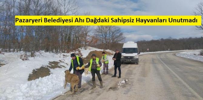 Pazaryeri Belediyesi Ahı Dağdaki Sahipsiz Hayvanları Unutmadı