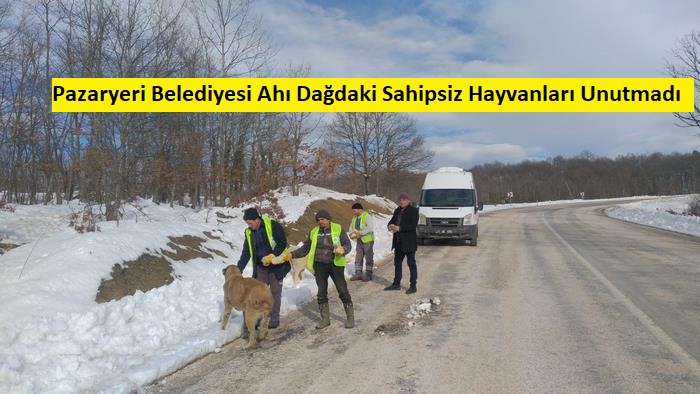 Pazaryeri Belediyesi Ahı Dağdaki Sahipsiz Hayvanları Unutmadı