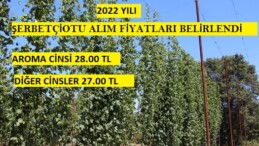 2022 Yılı Şerbetçiotunun Alım Fiyatı Belirlendi
