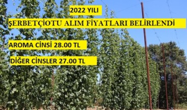 2022 Yılı Şerbetçiotunun Alım Fiyatı Belirlendi