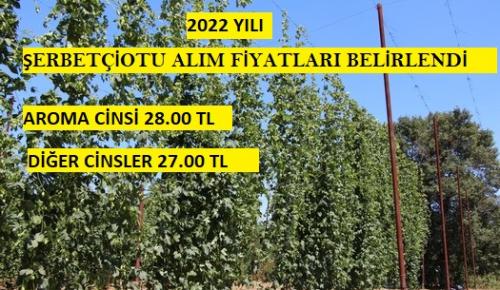 2022 Yılı Şerbetçiotunun Alım Fiyatı Belirlendi