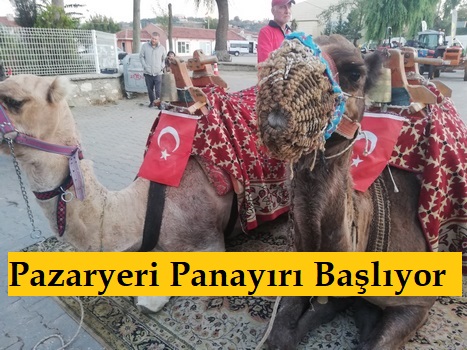 Pazaryeri Panayırı Başlıyor