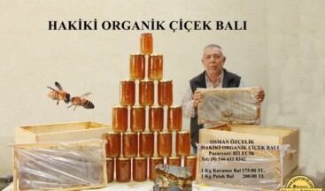 Saf Anadolu Irkı Arılardan Üretilen Organik Çiçek Balı Satışta