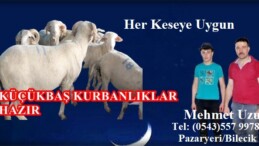 Uzun Mobilya Mehmet Uzun Kurbanlıklarını Satışa Sundu