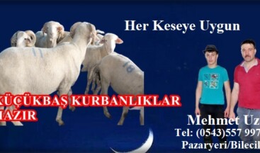 Uzun Mobilya Mehmet Uzun Kurbanlıklarını Satışa Sundu