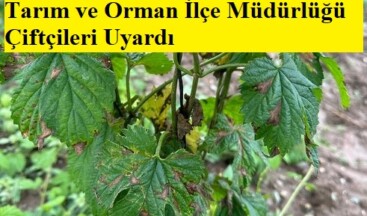 Tarım ve Orman İlçe Müdürlüğü Çiftçileri Uyardı