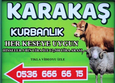 KARAKAŞ HAYVAN ÇİFTLİĞİNDE HER KESEYE UYGUN KURBANLIK