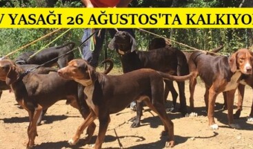 AV YASAĞI 26 AĞUSTOS’TA KALKIYOR