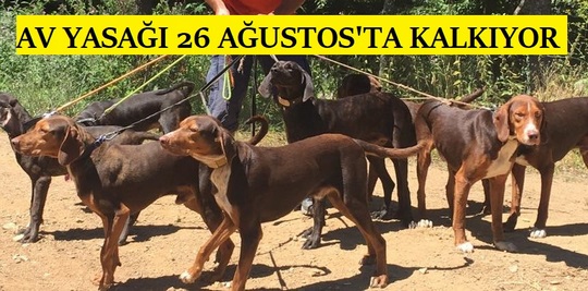 AV YASAĞI 26 AĞUSTOS’TA KALKIYOR