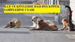 İLÇE VE KÖYLERDE BAŞI BOŞ KÖPEK SAHİPLERİNE UYARI