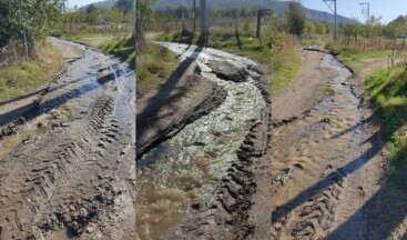 Bilecik Karasu Sulama Birliğinin İhmali Vatandaşı Susuz Bıraktı