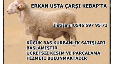 ERKAN USTA ÇARŞI KEBAP’TA KÜÇÜK BAŞ KURBANLIK SATIŞLARI BAŞLAMIŞTIR
