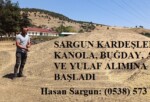 SARGUN KARDEŞLER KANOLA, BUĞDAY, ARPA VE YULAF ALIMINA BAŞLADI