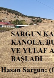SARGUN KARDEŞLER KANOLA, BUĞDAY, ARPA VE YULAF ALIMINA BAŞLADI