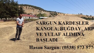 SARGUN KARDEŞLER KANOLA, BUĞDAY, ARPA VE YULAF ALIMINA BAŞLADI