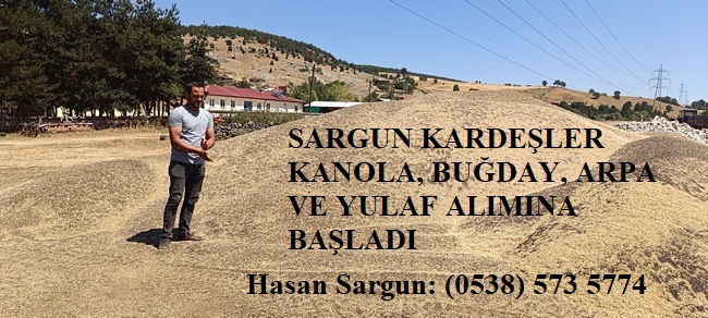 SARGUN KARDEŞLER KANOLA, BUĞDAY, ARPA VE YULAF ALIMINA BAŞLADI