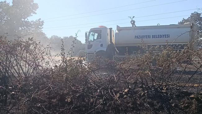 Pazaryerinde arazi ve orman yangını