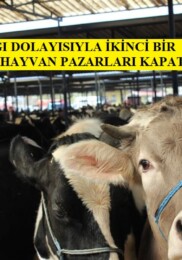 Hayvan Pazarları İkinci Bir Emre Kadar Kapatıldı