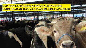 Hayvan Pazarları İkinci Bir Emre Kadar Kapatıldı