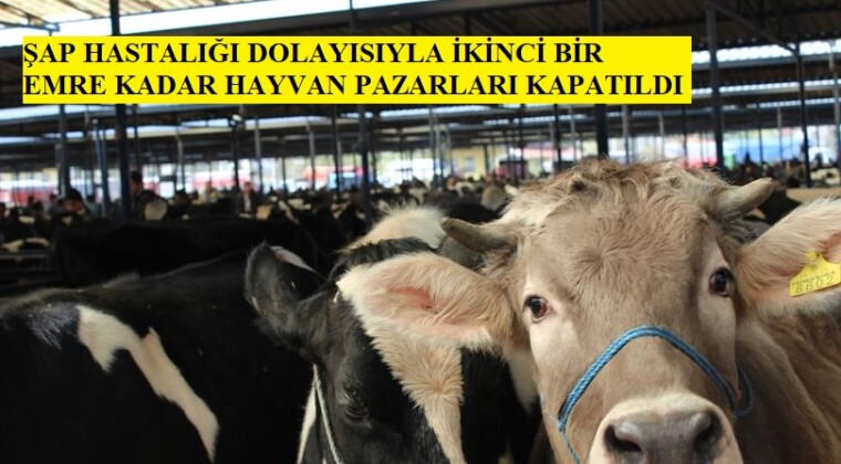 Hayvan Pazarları İkinci Bir Emre Kadar Kapatıldı