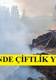 Pazaryerinde Çiftlik Yangını