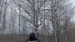 Pazaryeri Orman Muhafaza Memurlarından Örnek Duyarlılık