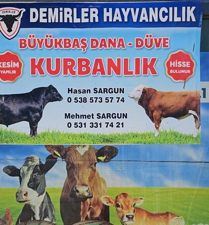Her Keseye Uygun, Güvenilir ve Özenle Yetiştirilmiş Kurbanlıklar Sizleri Bekliyor!