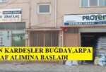 SARGUN KARDEŞLER BUĞDAY,ARPA VE YULAF ALIMINA BAŞLADI