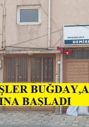 SARGUN KARDEŞLER BUĞDAY,ARPA VE YULAF ALIMINA BAŞLADI